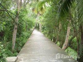  Land for sale in Thailand, Ko Kret, Pak Kret, Nonthaburi, Thailand