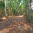 ขายที่ดิน ใน โคกปี่ฆ้อง, สระแก้ว, โคกปี่ฆ้อง, เมืองสระแก้ว, สระแก้ว, ไทย