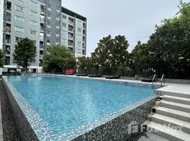 Studio Apartment for sale at Present Condo, Bang Khun Thian, Chom Thong, Bangkok, Thailand