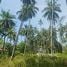  Land for sale in Surat Thani, Lipa Noi, Koh Samui, Surat Thani