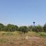  Land for sale in Nakhon Nayok, Khok Kruat, Pak Phli, Nakhon Nayok