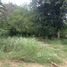  Land for sale in Mueang Nakhon Ratchasima, Nakhon Ratchasima, Pru Yai, Mueang Nakhon Ratchasima