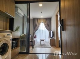 อพาร์ทเม้นท์ 1 ห้องนอน ให้เช่า ในโครงการ เดอะ เบส ไรส์, วิชิต