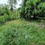 ขายที่ดิน ใน ขนอม, นครศรีธรรมราช, ขนอม, ขนอม, นครศรีธรรมราช, ไทย