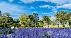 ยูนิตมือสองและให้เช่า