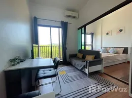 Studio Wohnung zu vermieten im ZCAPE III, Wichit, Phuket Town, Phuket