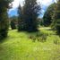  Land for sale in Chile, Hualaihue, Palena, Los Lagos, Chile