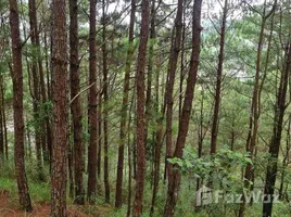  Земельный участок for sale in Филиппины, Baguio City, Benguet, Cordillera, Филиппины