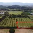  Terreno (Parcela) en venta en Pak Chong, Nakhon Ratchasima, Mu Si, Pak Chong