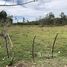  Land for sale in Limon, Siquirres, Limon