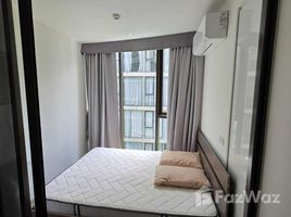 อพาร์ทเม้นท์ 1 ห้องนอน ให้เช่า ในโครงการ ฟินน์ อโศก สุขุมวิท 10, คลองเตย