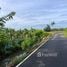  Land for sale in Hankha, Chai Nat, Wang Kai Thuean, Hankha