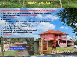  Land for sale in Pak Chong Nakhon Ratchasima, Klang Dong, Pak Chong, Nakhon Ratchasima