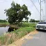  Land for sale in Khlong Si, Pathum Thani, Khlong Si, Khlong Luang, Pathum Thani