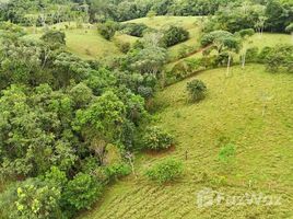  Land for sale in San Jose, Perez Zeledon, San Jose