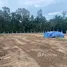  Land for sale in Khanom, Nakhon Si Thammarat, Khanom