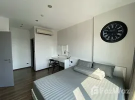 คอนโด 1 ห้องนอน ให้เช่า ในโครงการ วายน์ สุขุมวิท, พระโขนง, คลองเตย