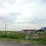  Земельный участок for sale in Pak Kran, Phra Nakhon Si Ayutthaya, Pak Kran, Phra Nakhon Si Ayutthaya, Phra Nakhon Si Ayutthaya