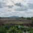  Land for sale in Nakhon Sawan, Nong Klap, Nong Bua, Nakhon Sawan