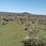  Terrain for sale in Maule, Retiro, Linares, Maule