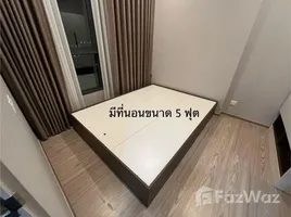 คอนโด 1 ห้องนอน ให้เช่า ในโครงการ เดอะ ทรี หัวหมาก, หัวหมาก