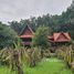 2 Schlafzimmer Haus zu verkaufen in Mueang Loei, Loei, Mueang, Mueang Loei