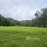 ขายที่ดิน ใน ภูเก็ต, เทพกระษัตรี, ถลาง, ภูเก็ต