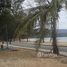  Land for sale in Mai Khao, Thalang, Mai Khao