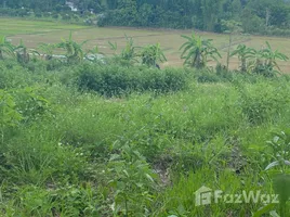 ขายที่ดิน ใน หงาว, เชียงราย, หงาว, เทิง, เชียงราย, ไทย