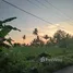  Grundstück zu verkaufen in Gangga, Lombok, Gangga, Lombok Barat, Lombok