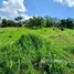 Terrain à vendre à Puerto Plata, San Felipe De Puerto Plata