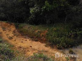  Terreno (Parcela) en venta en Amazonas, Alvaraes, Amazonas