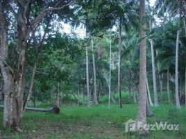 N/A Land for sale in Maenam, Koh Samui Nature View Land For Sale At Mae Nam