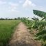  Land for sale in Thailand, Bang Krasan, Bang Pa-In, Phra Nakhon Si Ayutthaya, Thailand