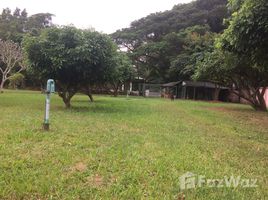 N/A Land for sale in Nong Chom, Chiang Mai 244 sqw Land for Sale in San Klang