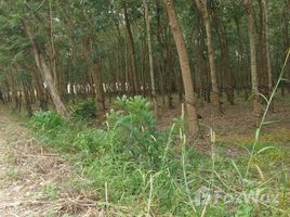  Land for sale in Binh Phuoc, Minh Hung, ChonThanh, Binh Phuoc