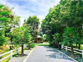 N/A Land for sale in Khanong Phra, Nakhon Ratchasima Water Wheel Park
