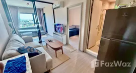 ยูนิตมือสองและให้เช่า