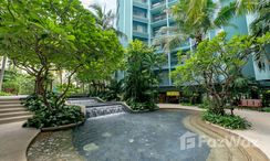 Photos 1 of the Communal Garden Area at Bangkok Garden