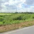  Terreno (Parcela) en venta en Sing Buri, Namtan, In Buri, Sing Buri