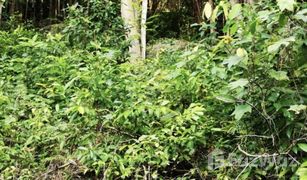 N/A Land for sale in Ko Tao, Koh Samui 
