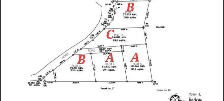 Master Plan of Eminence - Photo 1