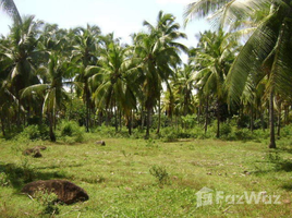  Land for sale in Eastern Visayas, Mahaplag, Leyte, Eastern Visayas