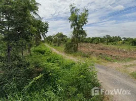 在那空那育出售的 土地, Bueng San, Ongkharak, 那空那育