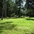  Land for sale in Golfito, Puntarenas, Golfito