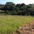  Land for sale in Pesquisar, Bertioga, Pesquisar