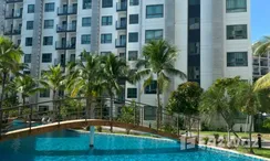 Photo 3 of the Communal Pool at Arcadia Beach Resort