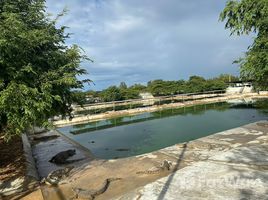  Grundstück zu verkaufen in Kamphaeng Saen, Nakhon Pathom, Thung Luk Nok, Kamphaeng Saen