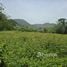  Terrain for sale in Da Nang, Hoa Bac, Hoa Vang, Da Nang
