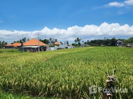 在里岛出售的 土地, Mengwi, Badung, 里岛
